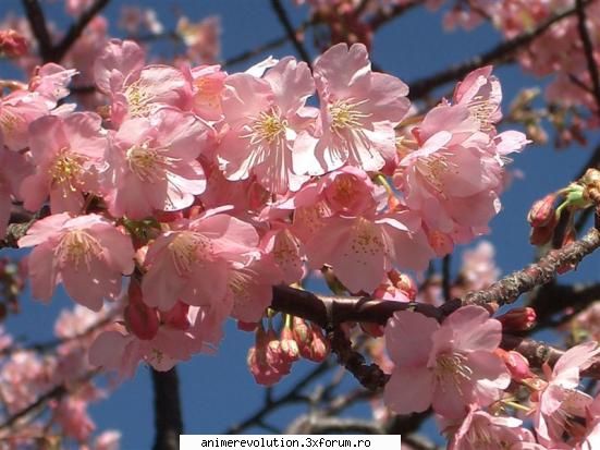 japan: the history cred stiati vara foarte iar toamna foarte ploioasa dar (cum vede poza, foarte