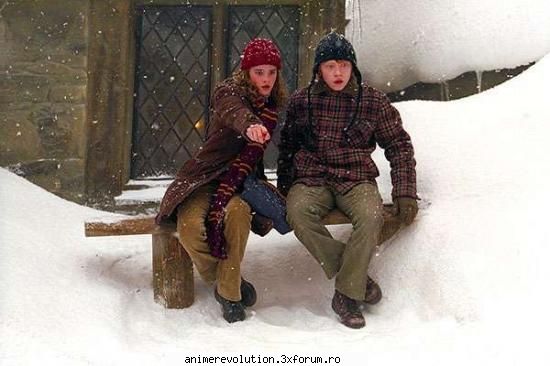 Dictionar Harry Potter - toate vrajile astea chiar apar in carti?? - Despre Harry Potter