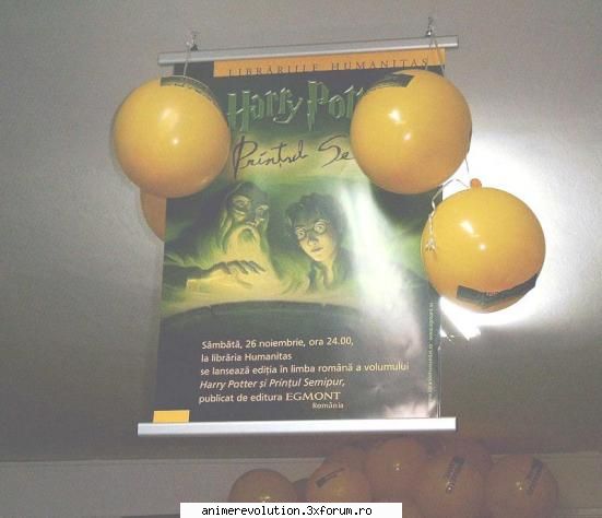 Dictionar Harry Potter - while I'm gone.. puteti (kikyo si anime_freak pt - Despre Harry Potter