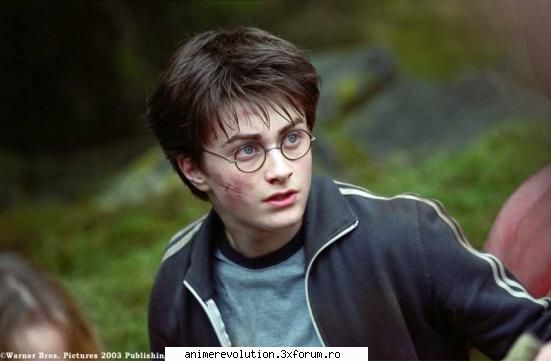 harry potter este seriei 