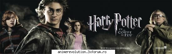 Personaje - Cred ca cea mai complexa caracterizare va fi cea - Despre Harry Potter