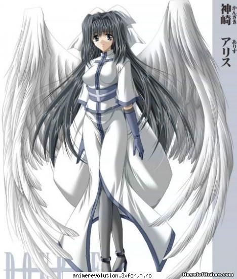 Photo share - pisici... new ar fi trebuit sa fie now :P - Discutii despre anime, manga si ecchi