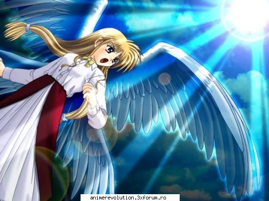 Photo share - Ce ati zice daca in fiecare zi fiecare membru ar - Discutii despre anime, manga si ecchi