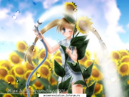 Photo share - si asta e ultima :) (floarea soarelui e preferata - Discutii despre anime, manga si ecchi